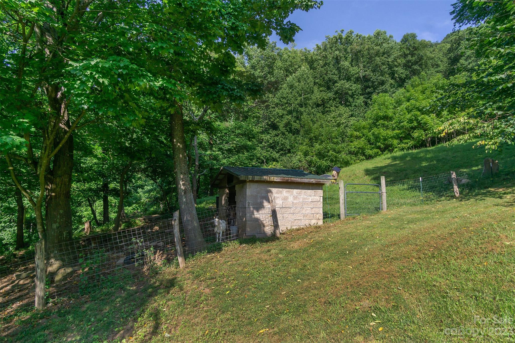 302 Riddle Road Swannanoa, NC 28778 - Photo 24 of 38 Gallery Image 24