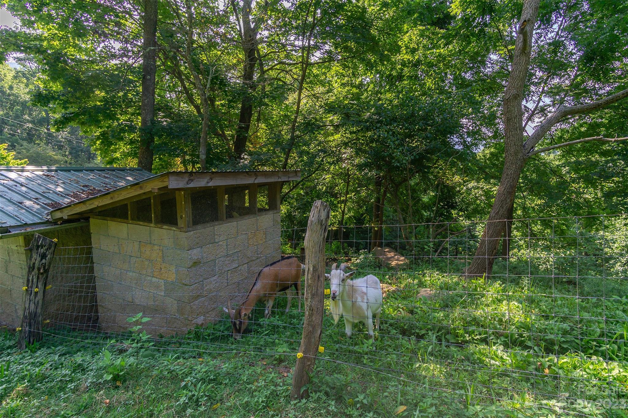 302 Riddle Road Swannanoa, NC 28778 - Photo 28 of 38 Gallery Image 28