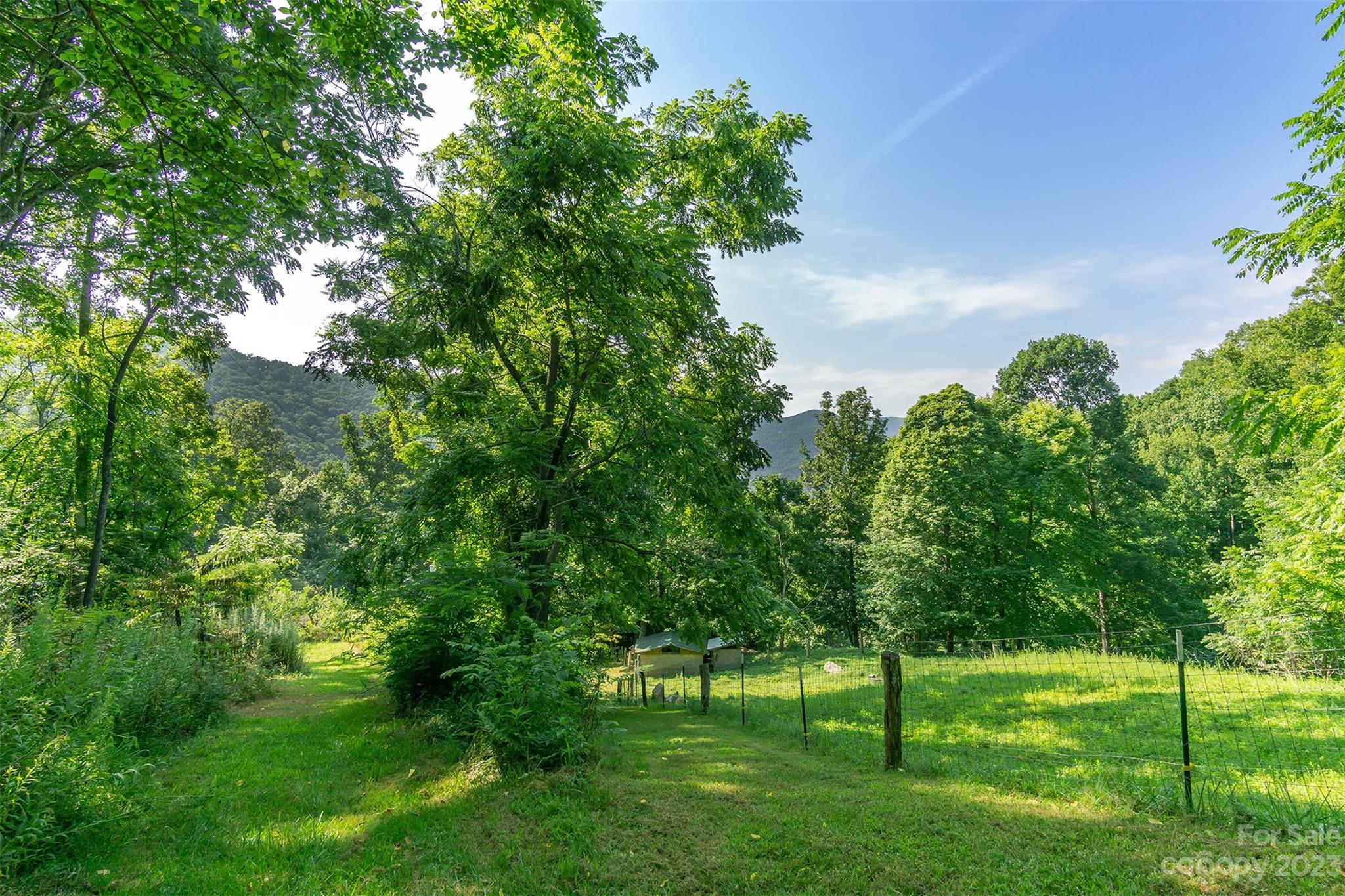 302 Riddle Road Swannanoa, NC 28778 - Photo 33 of 38 Gallery Image 33