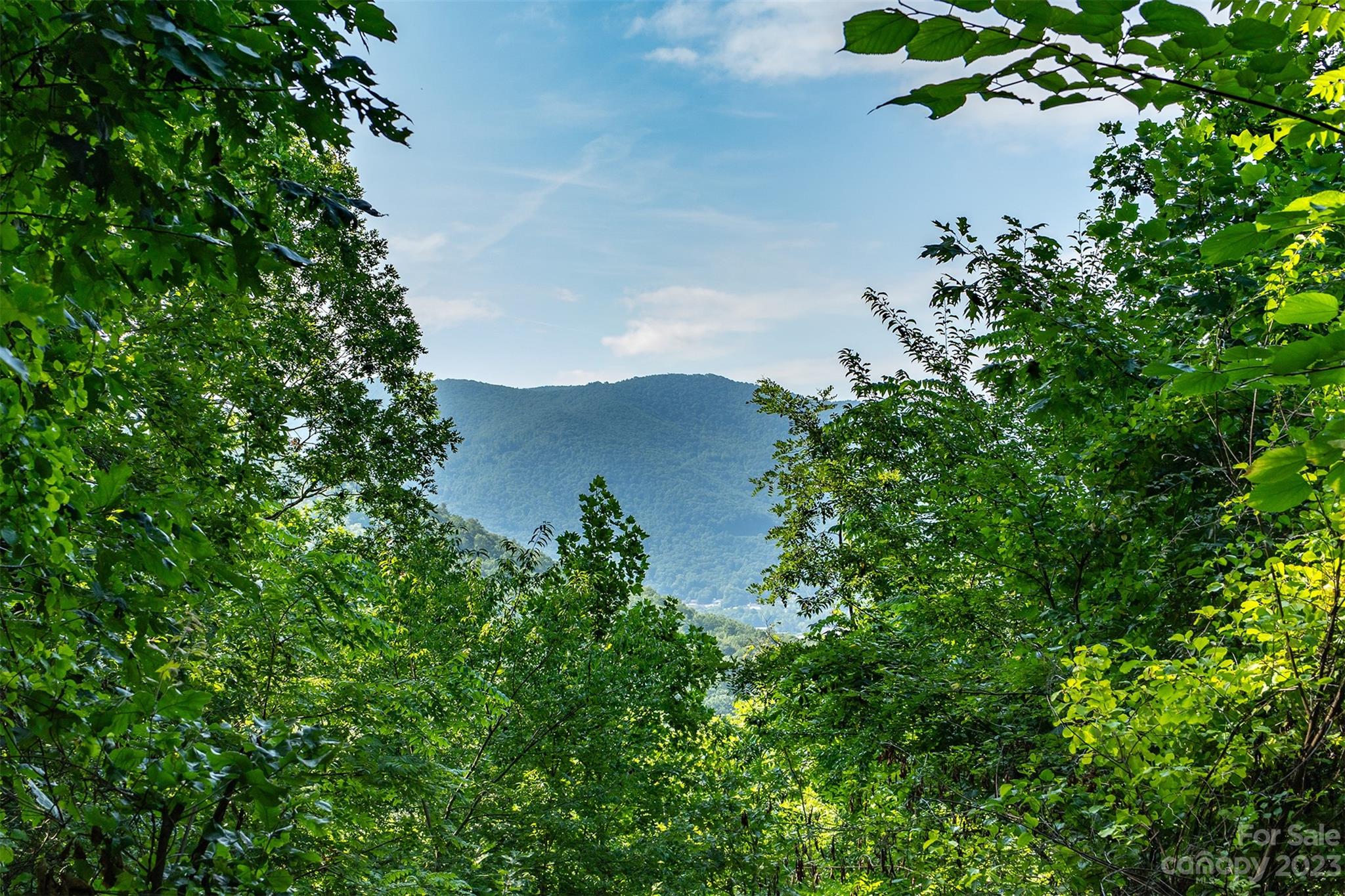 302 Riddle Road Swannanoa, NC 28778 - Photo 34 of 38 Gallery Image 34