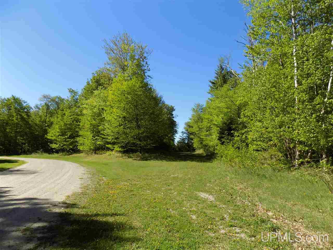Tbd Northshore Bluffs Road, Unit 4 Manistique, MI 49854 - Photo 4 of 21