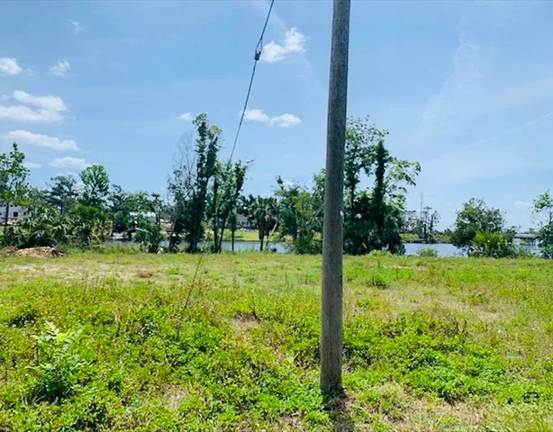 a big yard with lots of green space and palm trees