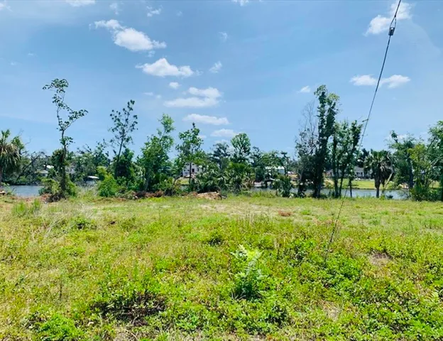 a view of a yard with an tree
