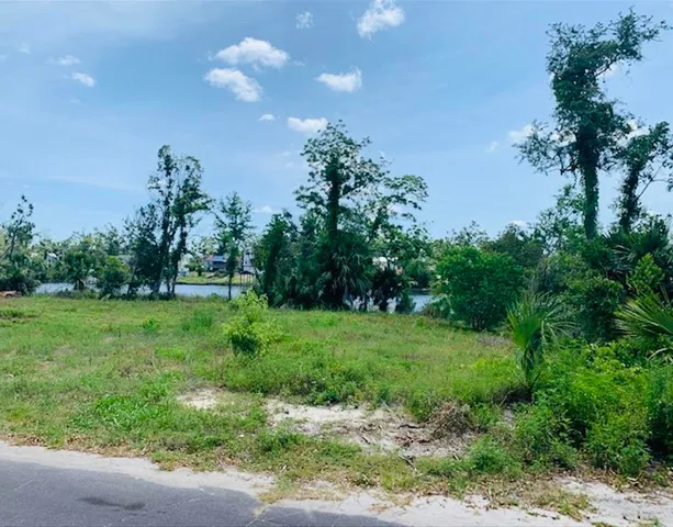 a view of a garden with a tree