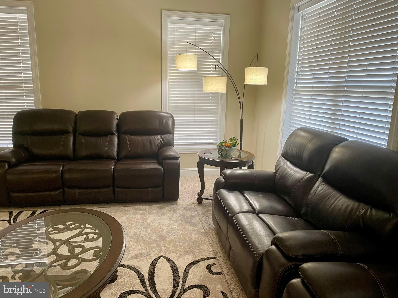 22225 Falling Terrace Ashburn, VA 20148 - Photo 22 of 30 a living room with furniture and a large window
