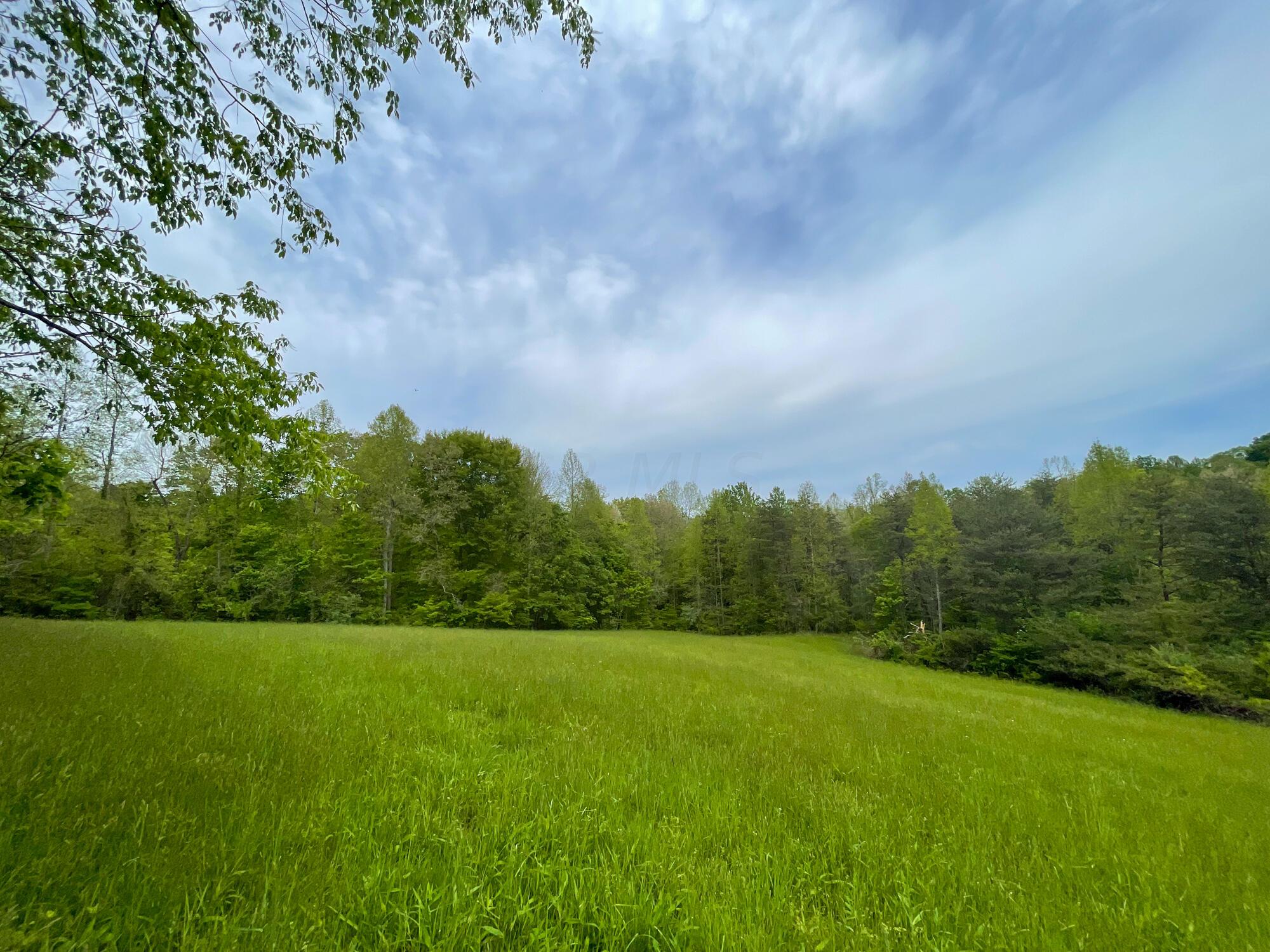 638 Sam Jones Road Wheelersburg, OH 45694 - Photo 11 of 17 IMG_6109