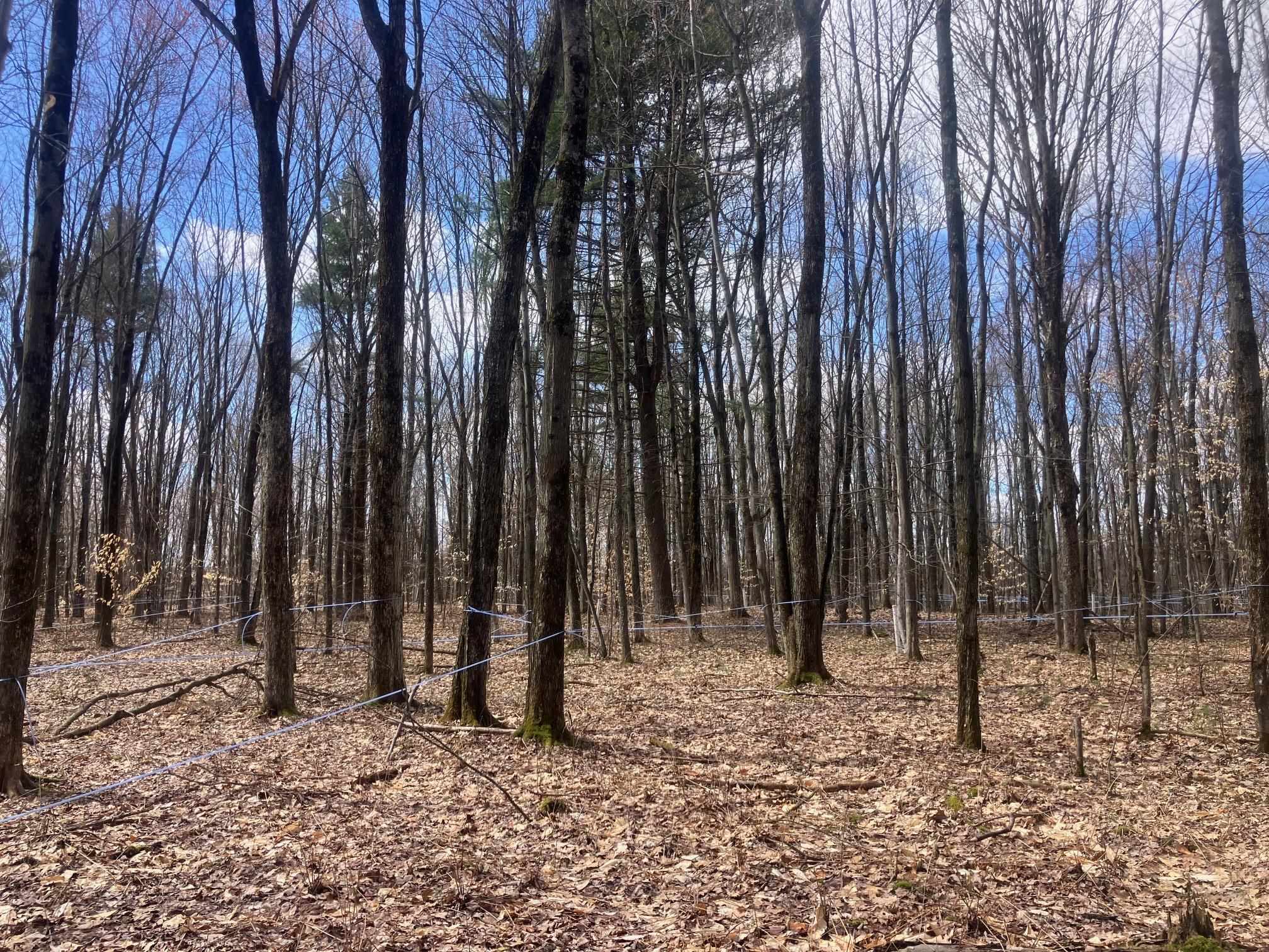 74 Jedware Circle, Unit LOT 102 Swanton, VT 05488 - Photo 12 of 15