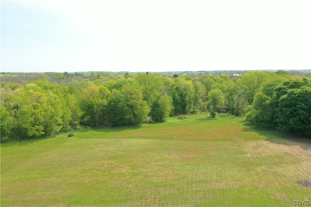 0 North Division Street Auburn, NY 13021 - Photo 2 of 4