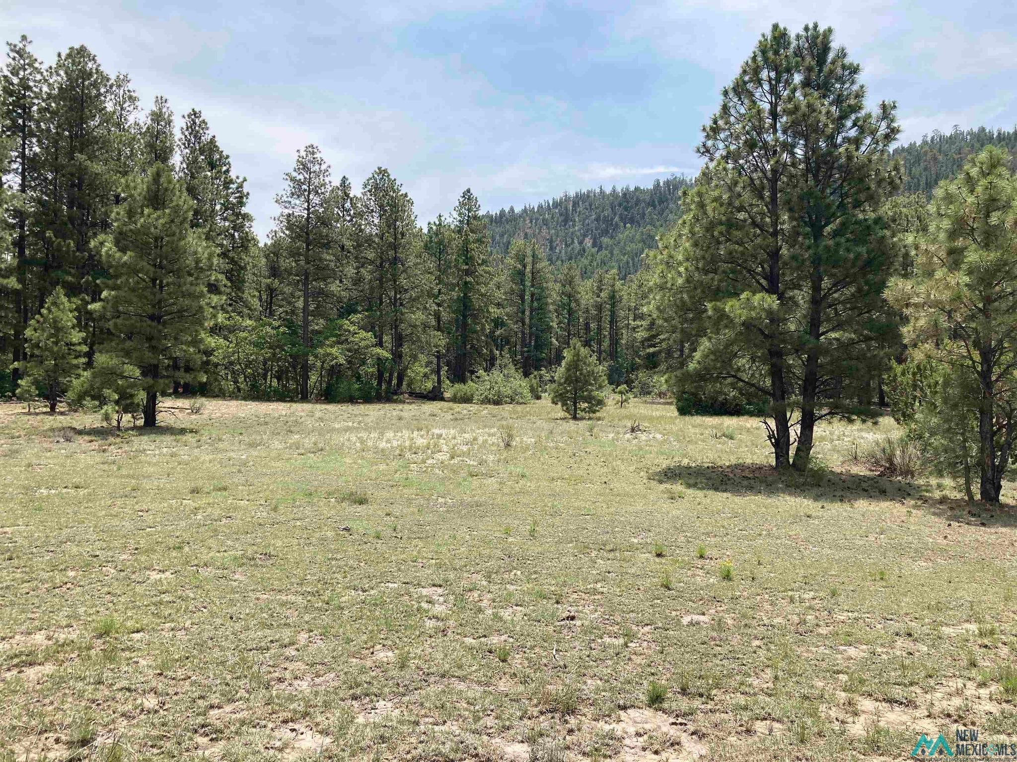 1 Forest Rd100 Road Canones, NM 87516 - Photo 26 of 39 Gallery Image 26