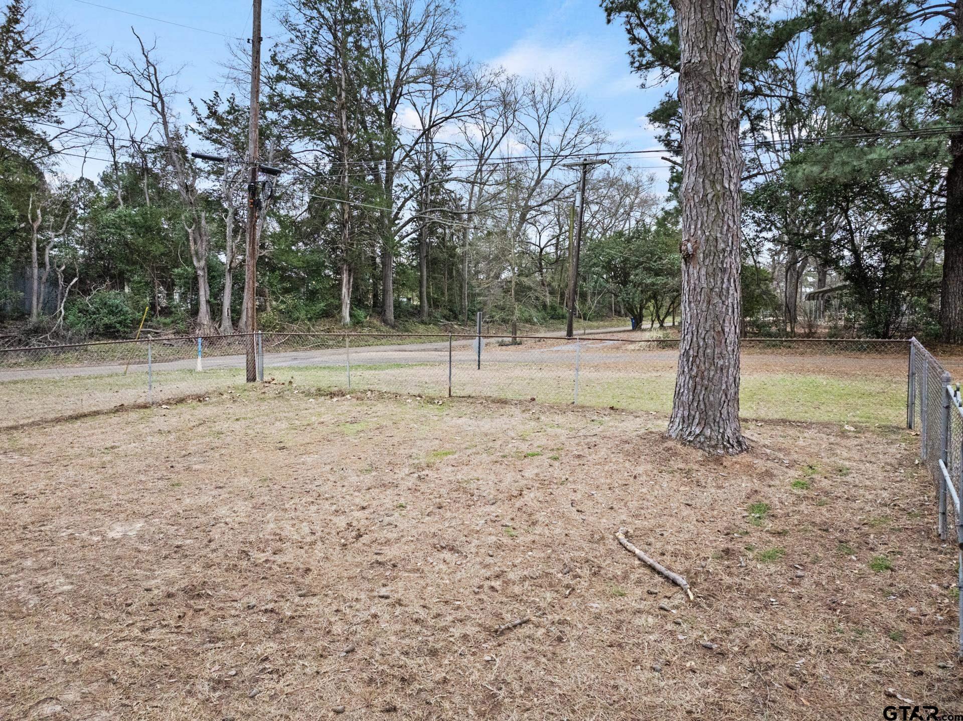 303 Campbell Street Daingerfield, TX 75638 - Photo 24 of 26