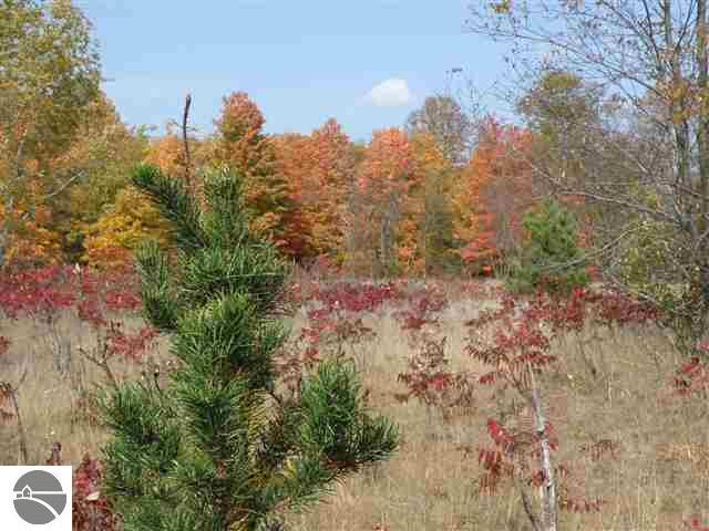 Lot#6 Rosa Road, Unit LOT: 6 Beulah, MI 49617 - Photo 10 of 18