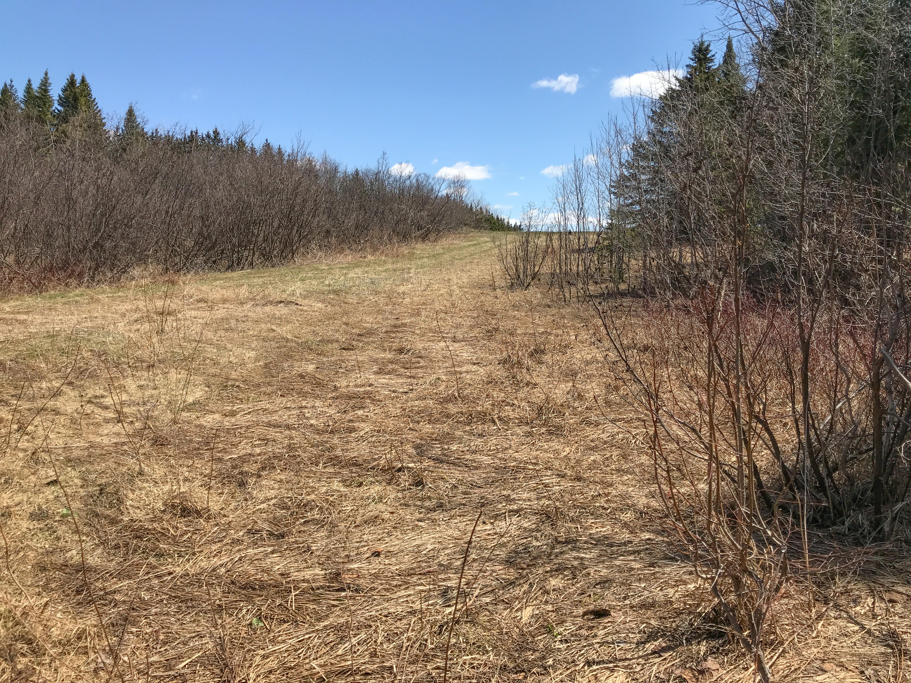 Lot 24 Fuller Road Easton, ME 04740 - Photo 27 of 29 Photo May 14, 11 21 10 AM