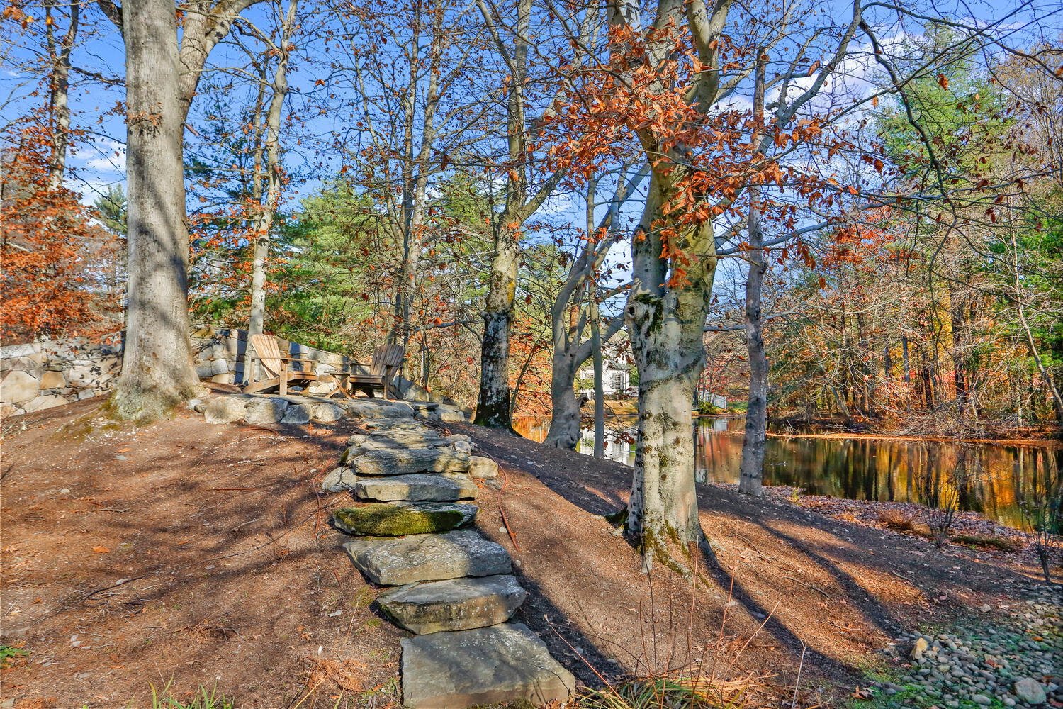 363 West Road New Canaan, CT 06840 - Photo 61 of 68 a view of yard with trees