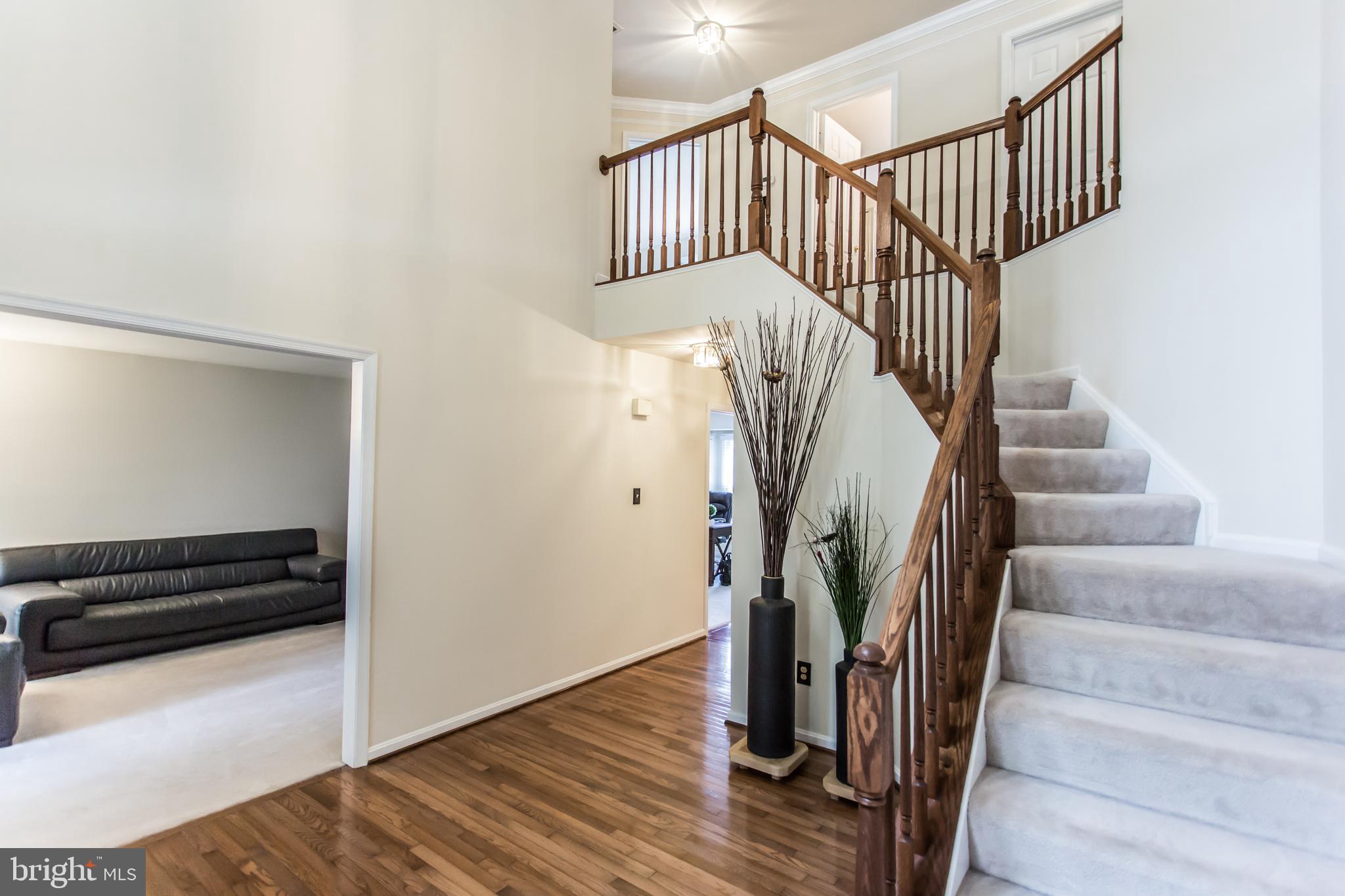 8131 Ridge Creek Way Springfield, VA 22153 - Photo 4 of 57