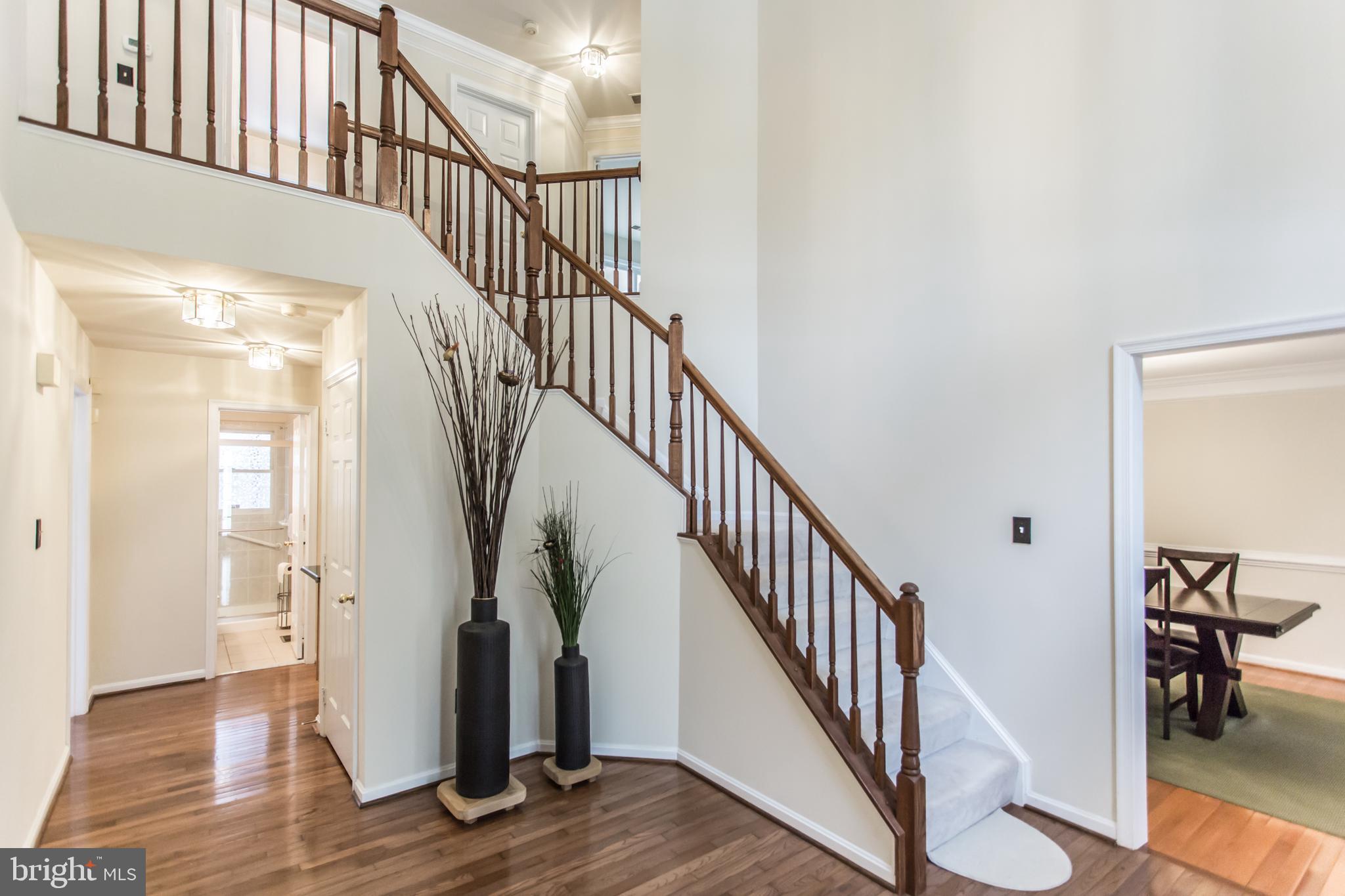 8131 Ridge Creek Way Springfield, VA 22153 - Photo 5 of 57