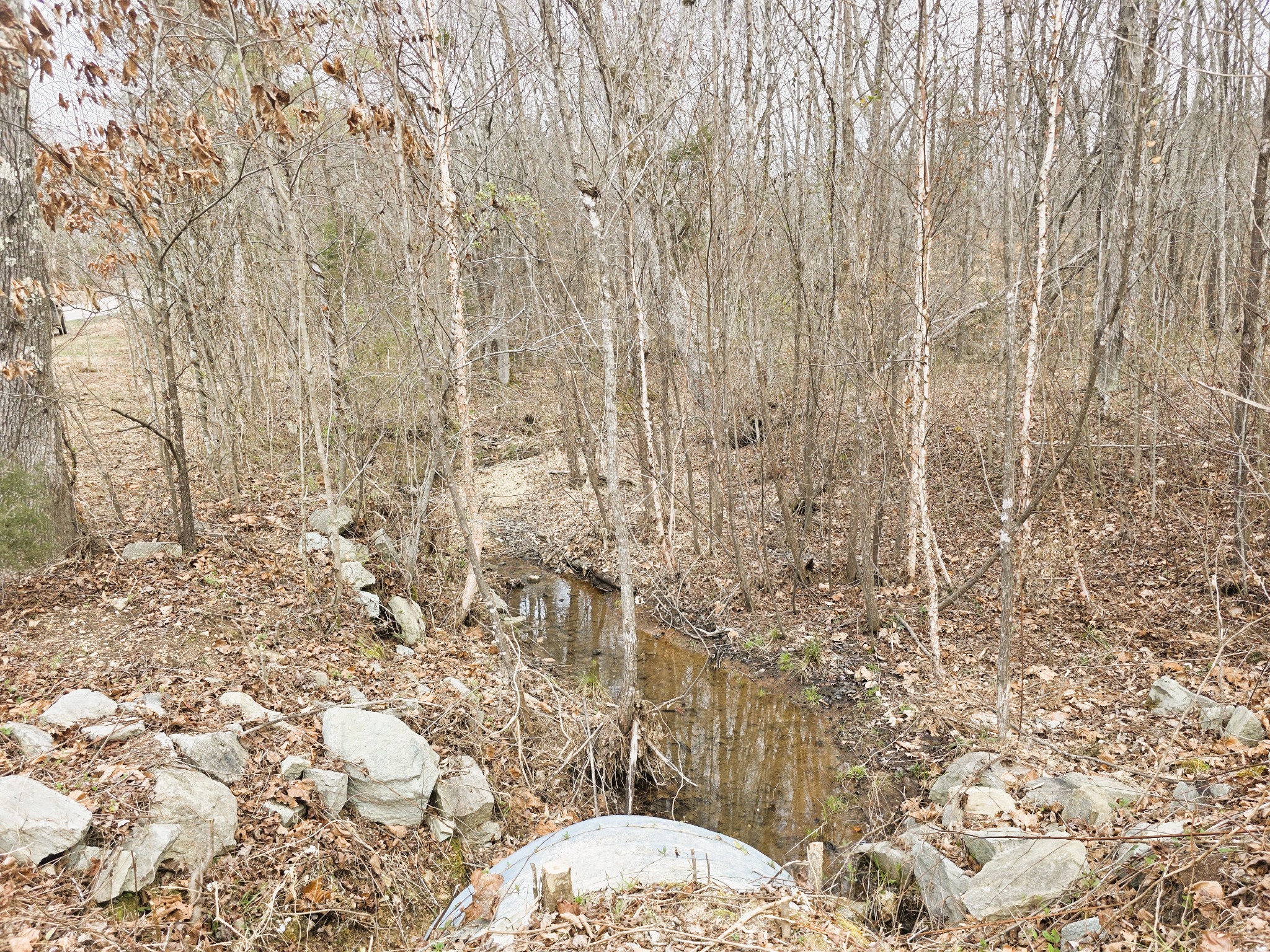 0 Birdsong Road Holladay, TN 38341 - Photo 65 of 70