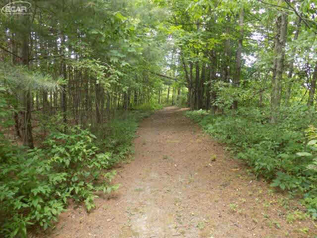 6243 Reid Road Swartz Creek, MI 48473 - Photo 86 of 98 21187519-86.JPG