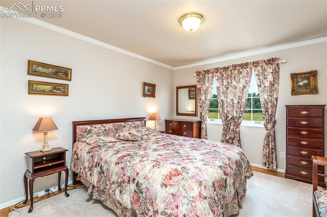 7509 Tudor Road Colorado Springs, CO 80919 - Photo 17 of 29 Gallery Image 17