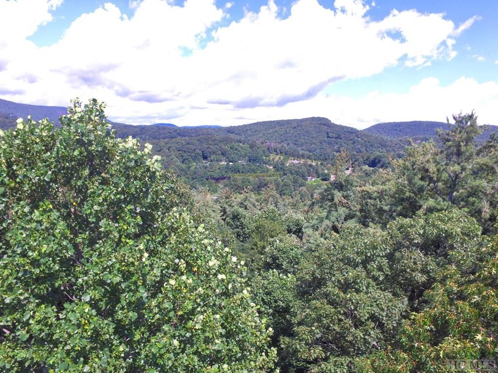 8382 Dillard Road Scaly Mountain, NC 28775 - Photo 28 of 28 Gallery Image 28