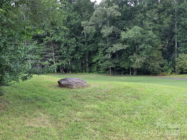 a view of a backyard with a trees