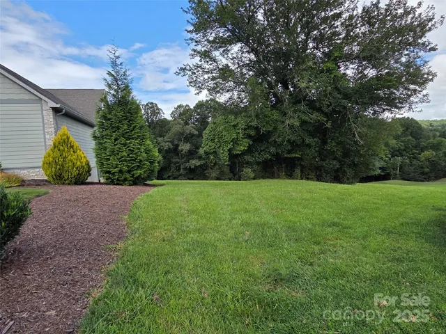 a view of green field with trees in the background