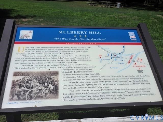0 Mulberry Hill Road Randolph, VA 23962 - Photo 7 of 7