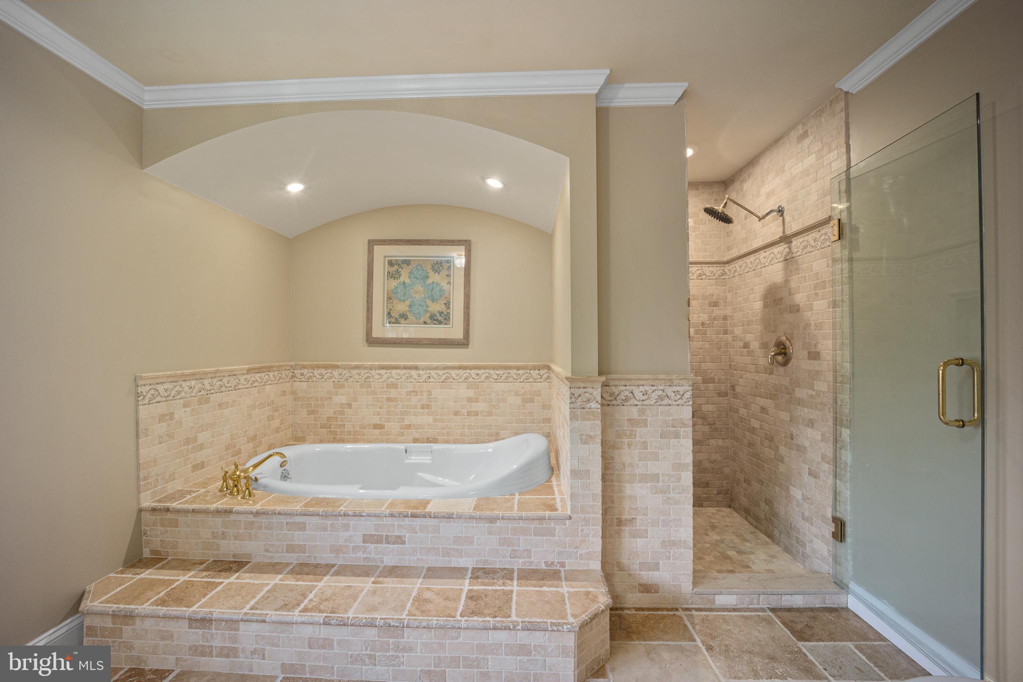 734 Northbrook Road Kennett Square, PA 19348 - Photo 66 of 89 a bathroom with a bathtub and shower