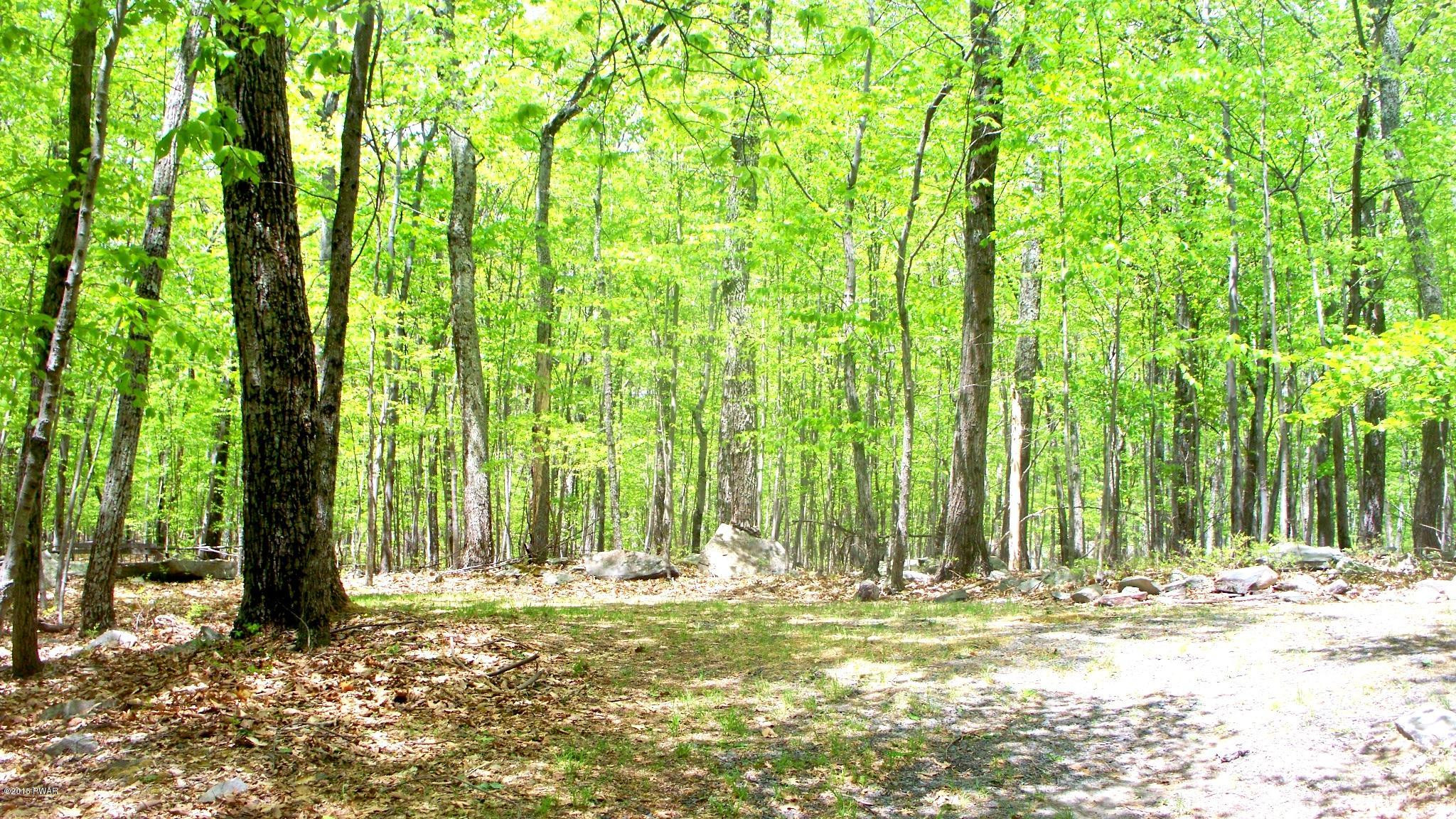 186 Dark Swamp Road Dingmans Ferry, PA 18328 - Photo 2 of 13