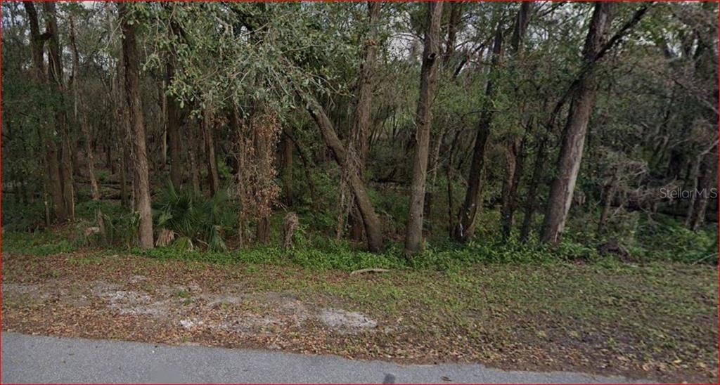 3003 Riverdale Road Orlando, FL 32817 - Photo 1 of 1 a view of outdoor space and green space