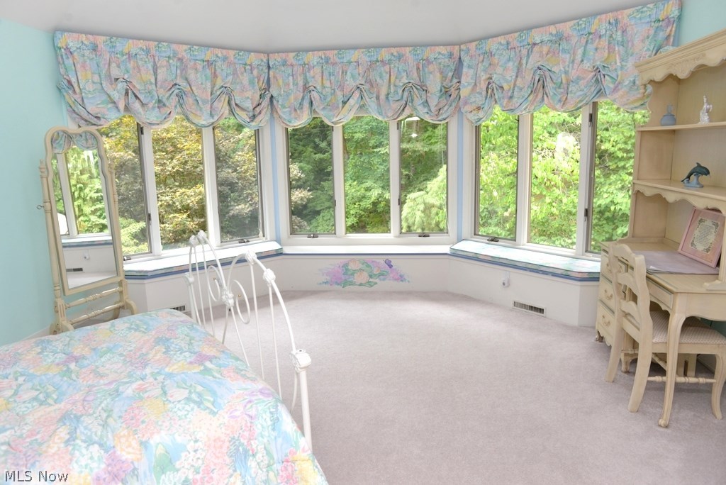 330 Miller Lake Road Wooster, OH 44691 - Photo 17 of 25 Gallery Image 17