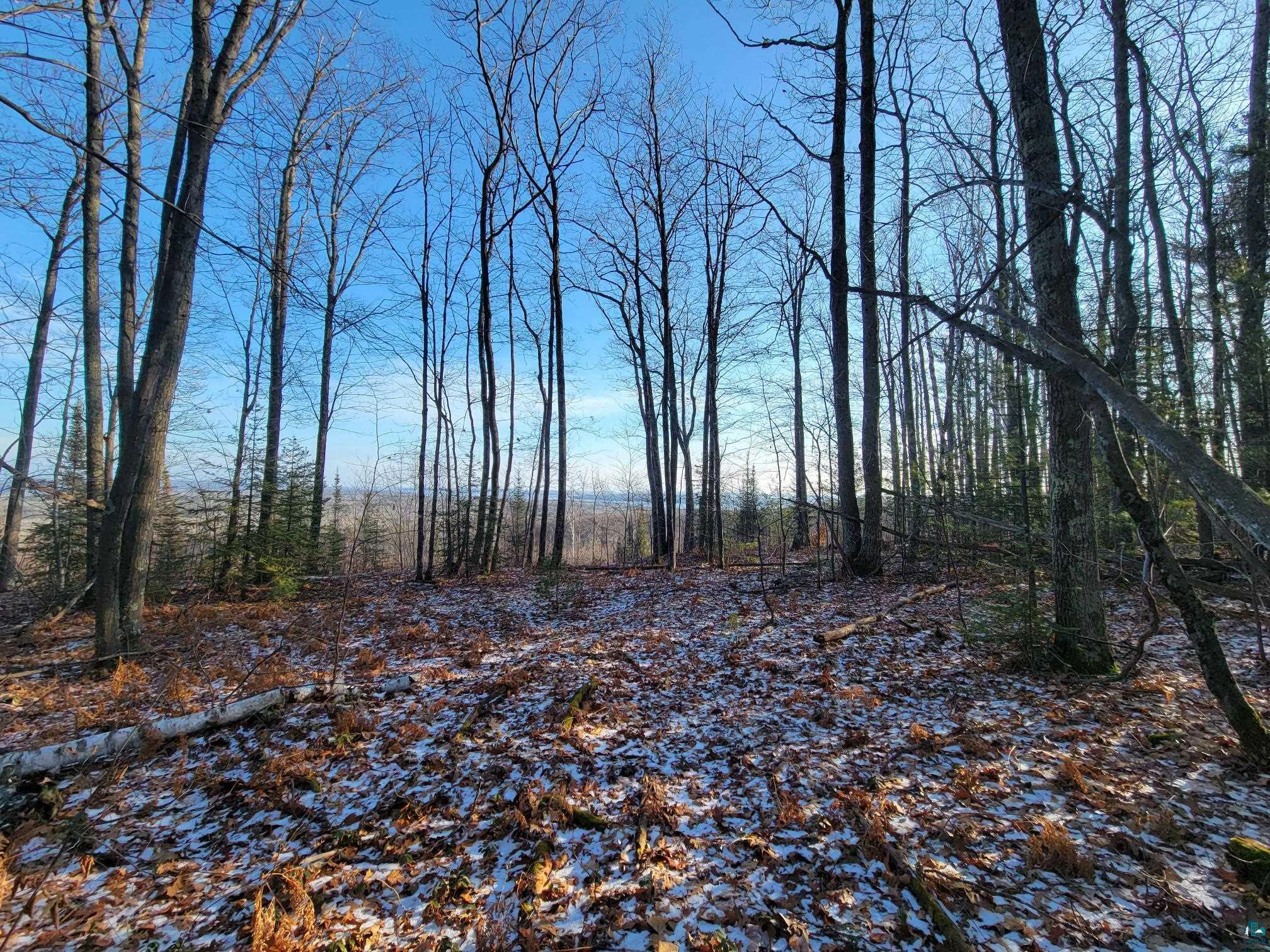 888-xx Turner Road Bayfield, WI 54814 - Photo 22 of 26 Gallery Image 22