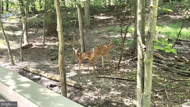 $515,000 | 14425 Pebble Hill Lane, North Potomac, MD 20878