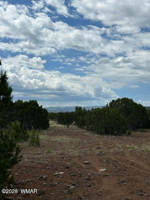 N3109 Rd Vernon Az 85940 Road Vernon, AZ 85940 - Photo 7 of 17