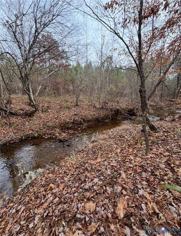 Tbd Perkins Mill Road Dillwyn, VA 23936 - Photo 2 of 6