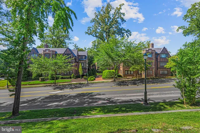 a view of a park that has a lots of plants and trees