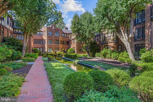 a garden with plants and trees