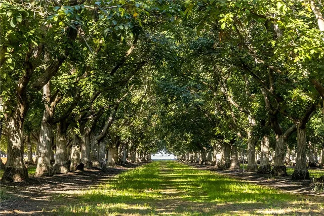 a view of a grassy field