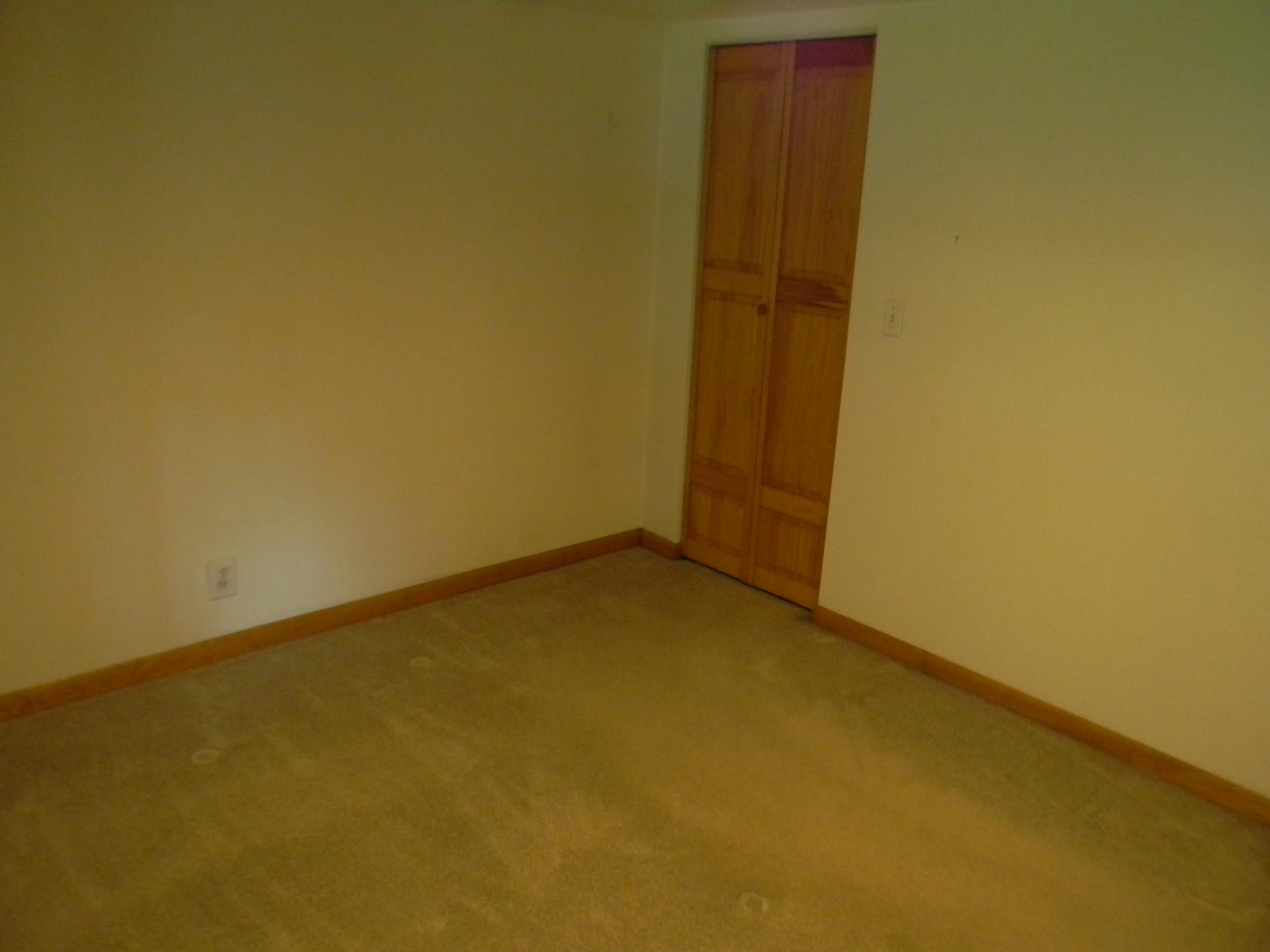 19096 Lincoln Road Stanwood, MI 49346 - Photo 22 of 25 DSCN3589
