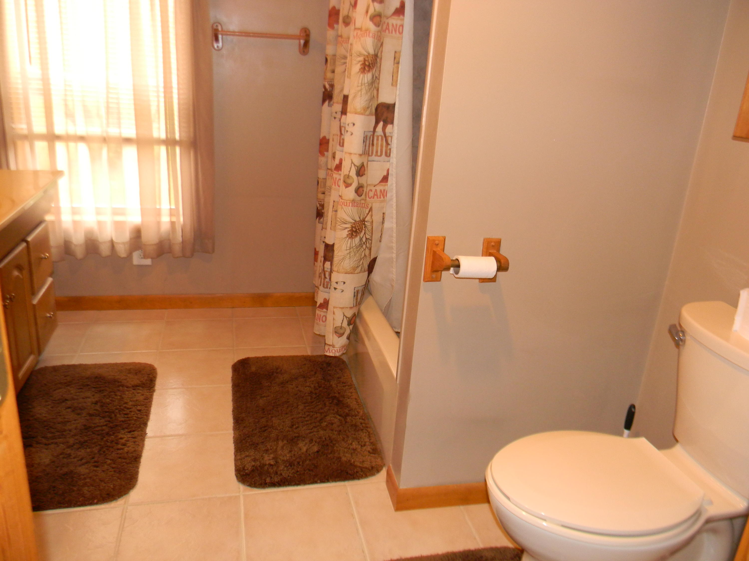 19096 Lincoln Road Stanwood, MI 49346 - Photo 23 of 25 DSCN3590