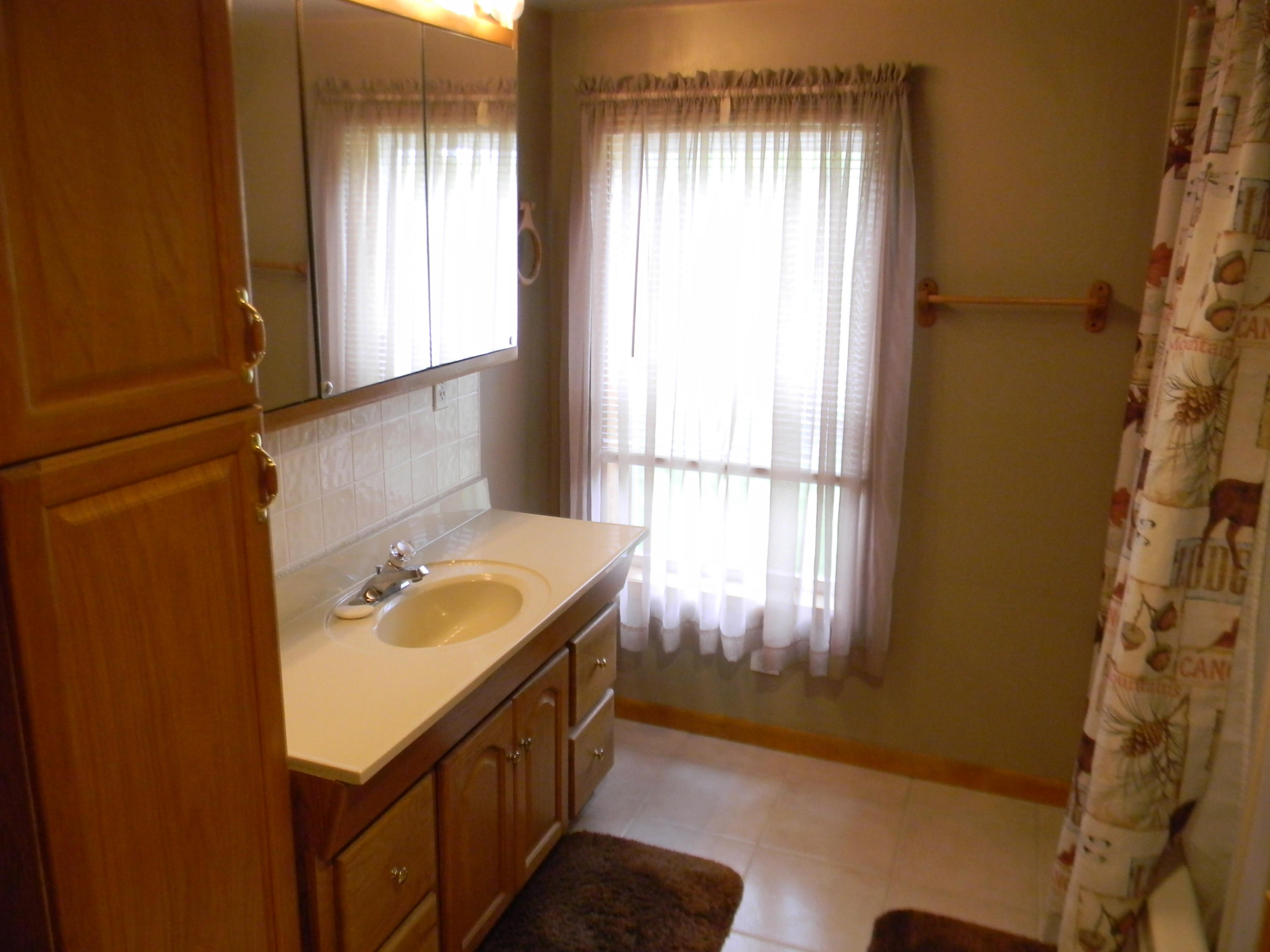 19096 Lincoln Road Stanwood, MI 49346 - Photo 24 of 25 DSCN3591