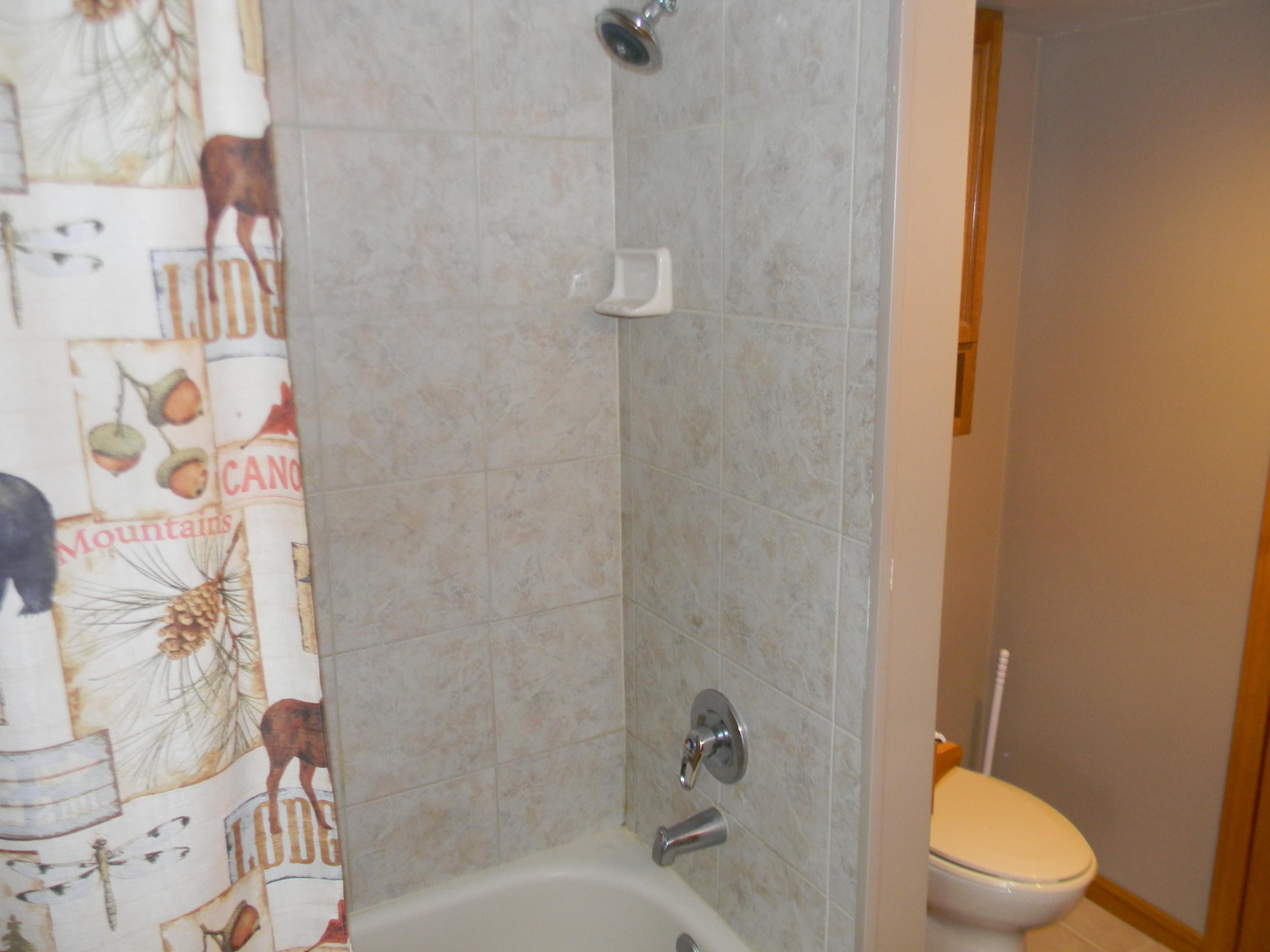 19096 Lincoln Road Stanwood, MI 49346 - Photo 25 of 25 DSCN3593