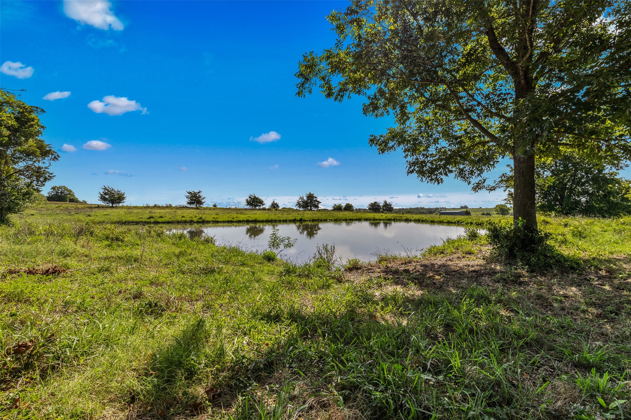 1619 Highway 237 Carmine, TX 78932 - Photo 1 of 26