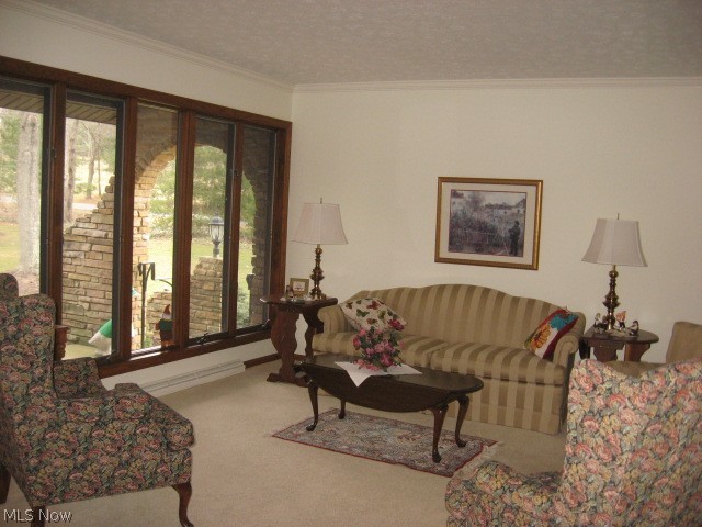 1390 South Hametown Road Akron, OH 44321 - Photo 4 of 27 Open, livingroom, crown molding opens to dining