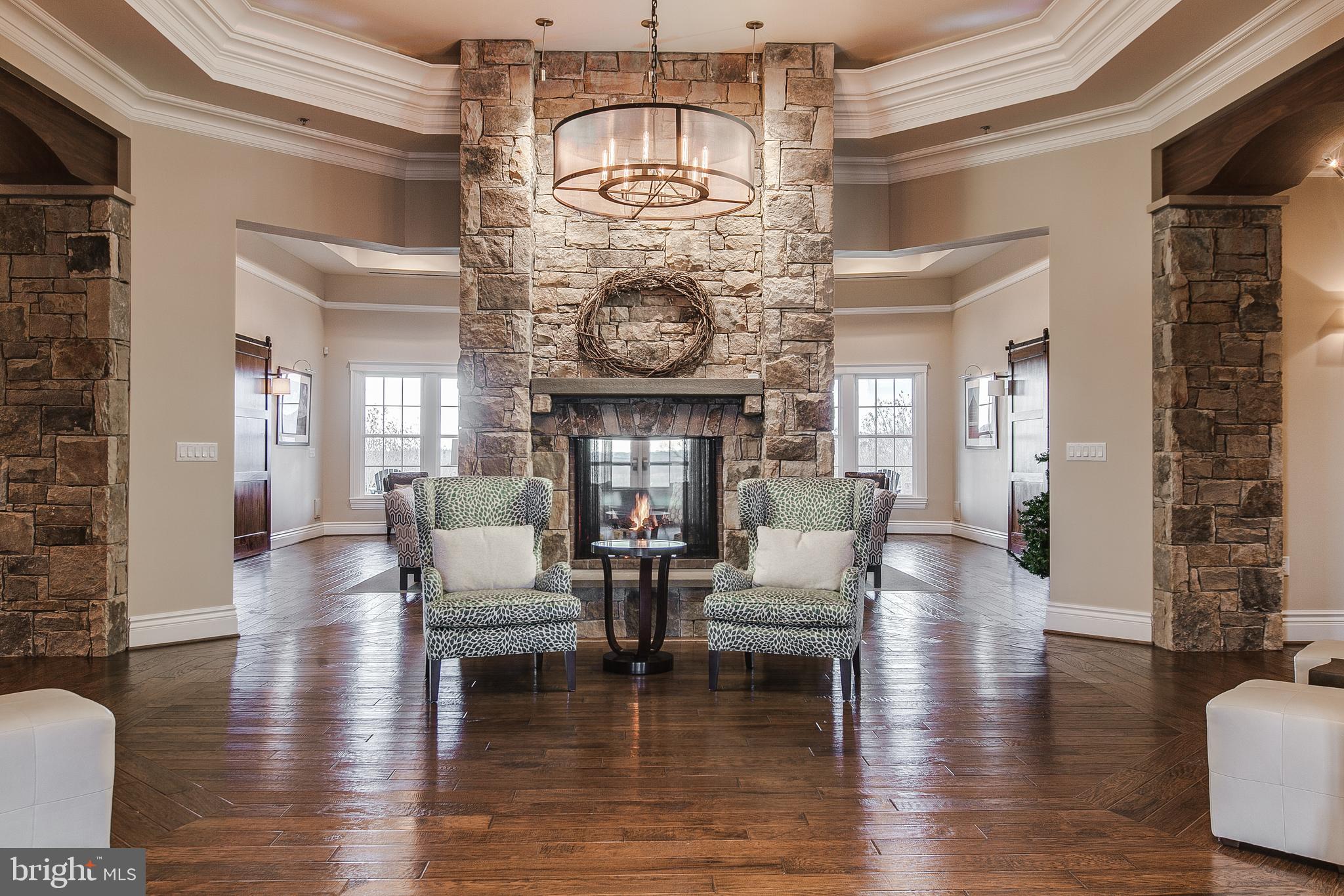 1317 Yourtee Spring Drive Brunswick, MD 21716 - Photo 59 of 73 a living room with fireplace furniture and a chandelier