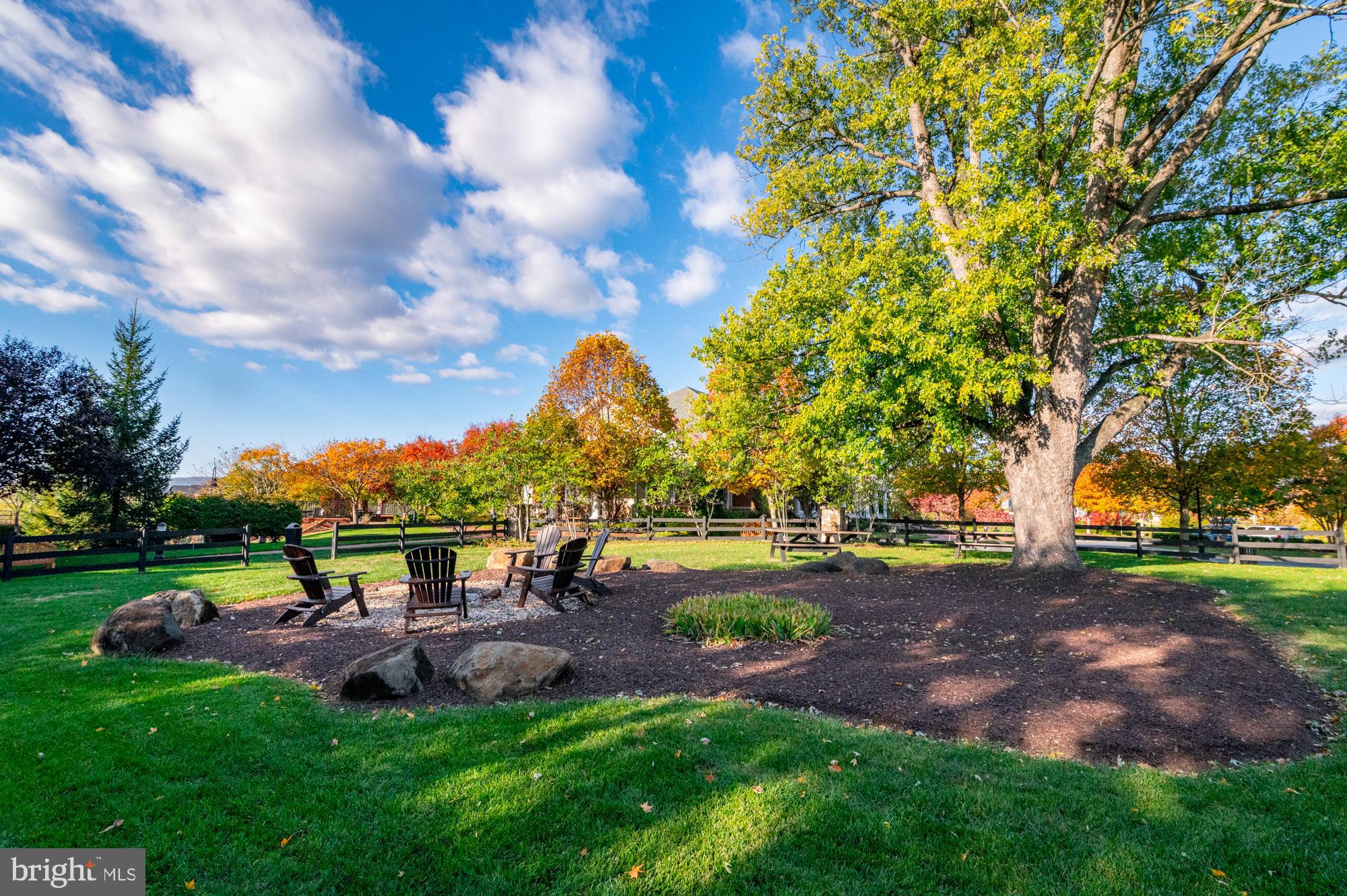 1317 Yourtee Spring Drive Brunswick, MD 21716 - Photo 62 of 73 a view of a park with large trees