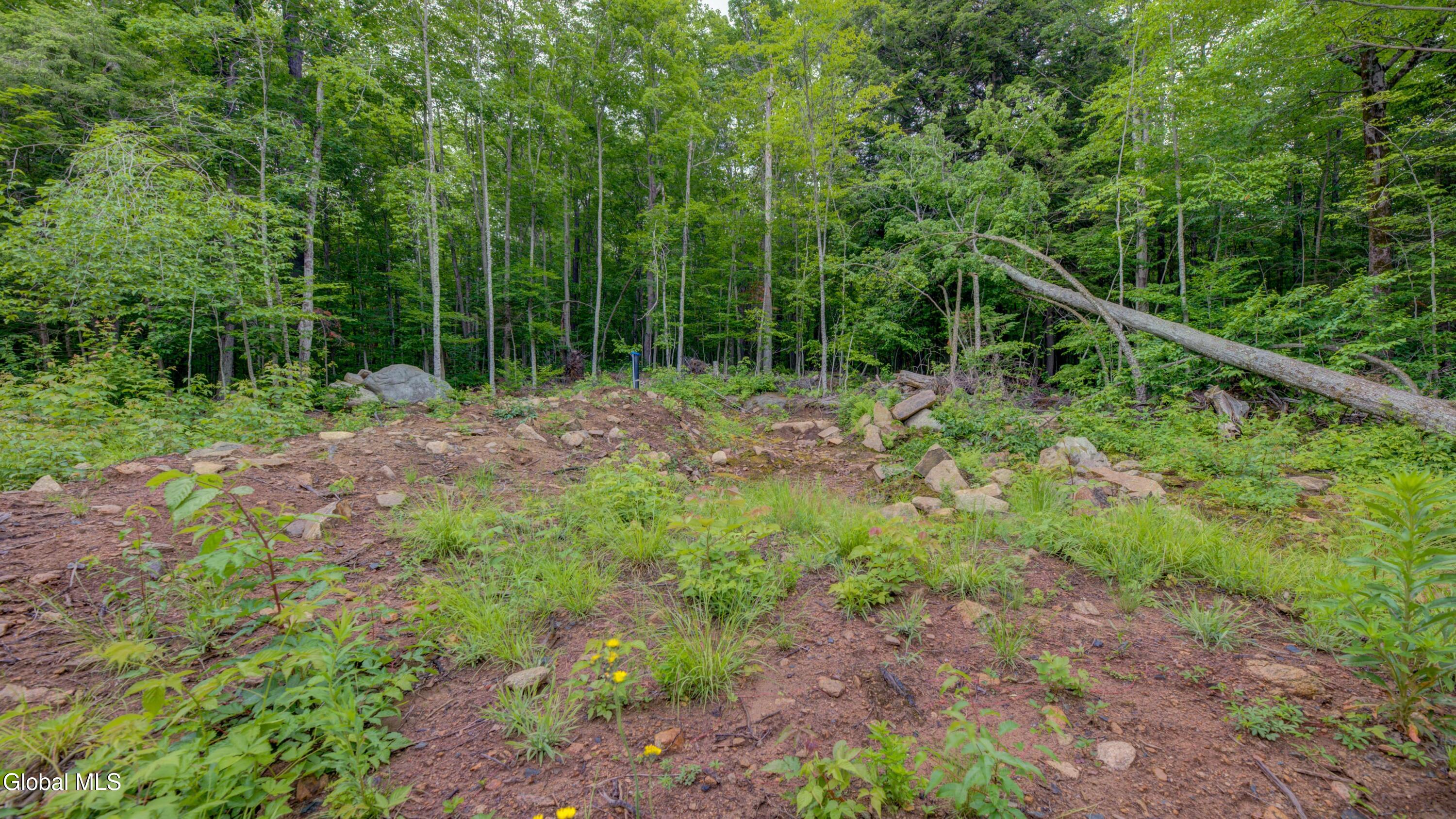 610 South Shore Road Speculator, NY 12164 - Photo 25 of 26 610 S Shore Rd-26