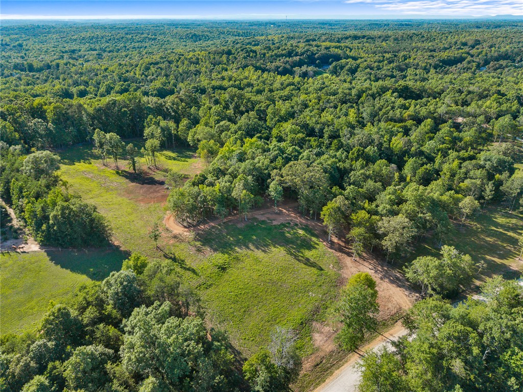 75 Hidden Acres Trail Pelzer, SC 29669 - Photo 6 of 32