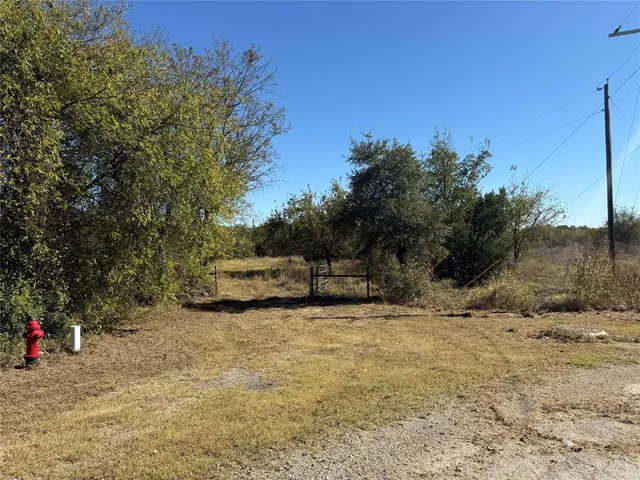 a view of backyard with large trees