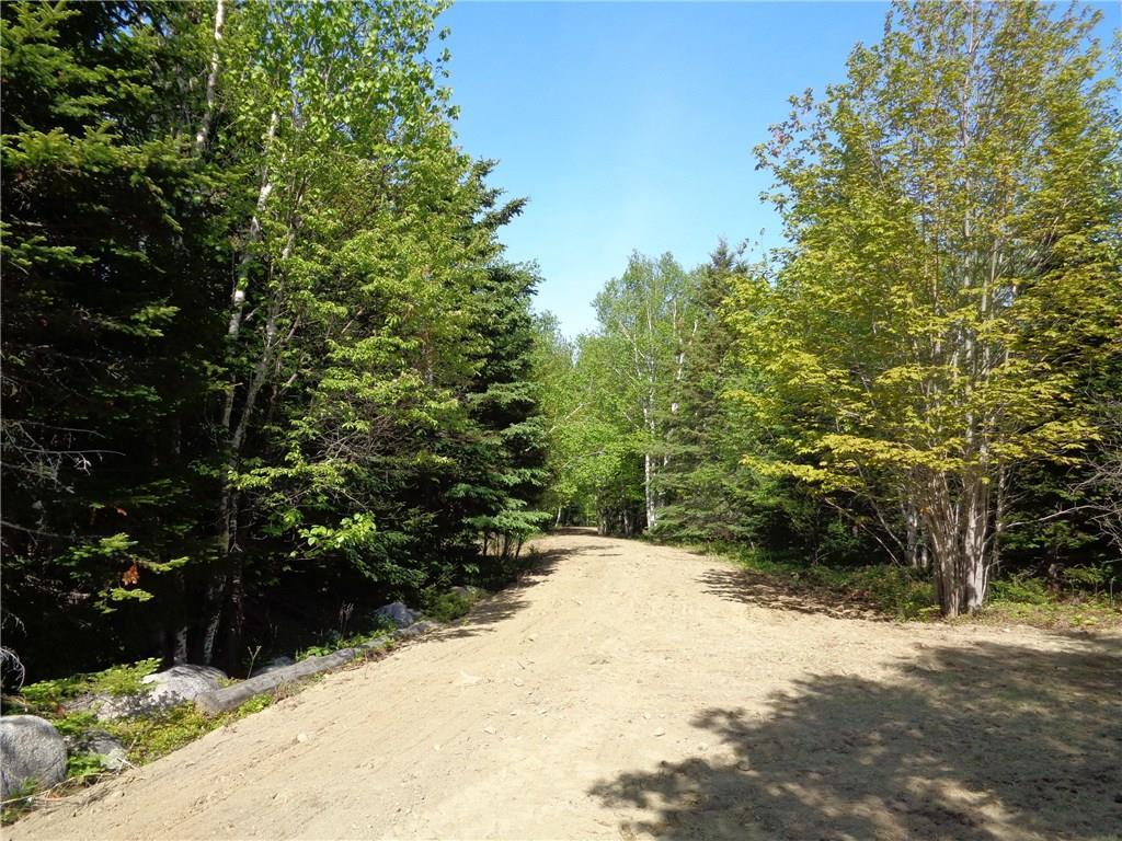 Lot 9 Pineo Point Road Harrington, ME 04643 - Photo 6 of 25 Photo
