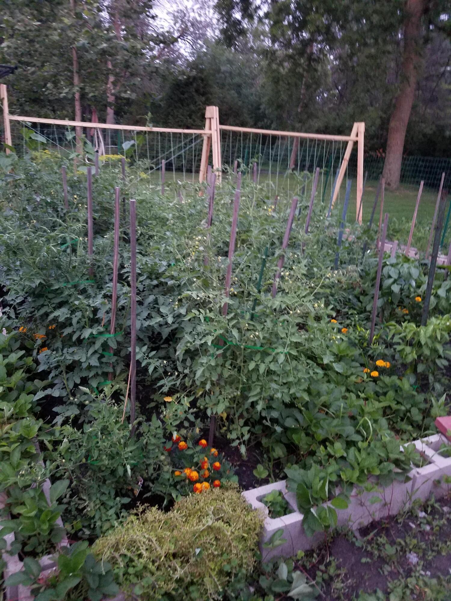 8814 Lee Street Crown Point, IN 46307 - Photo 45 of 47 1500x2000